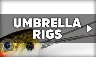 Umbrella Rigs