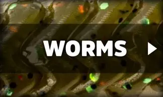 Worm