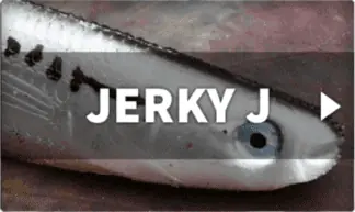 Jerky J